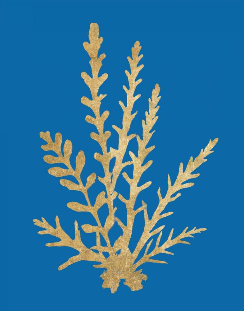 Pacific Sea Mosses III Blue art print by Wild Apple Portfolio for $57.95 CAD