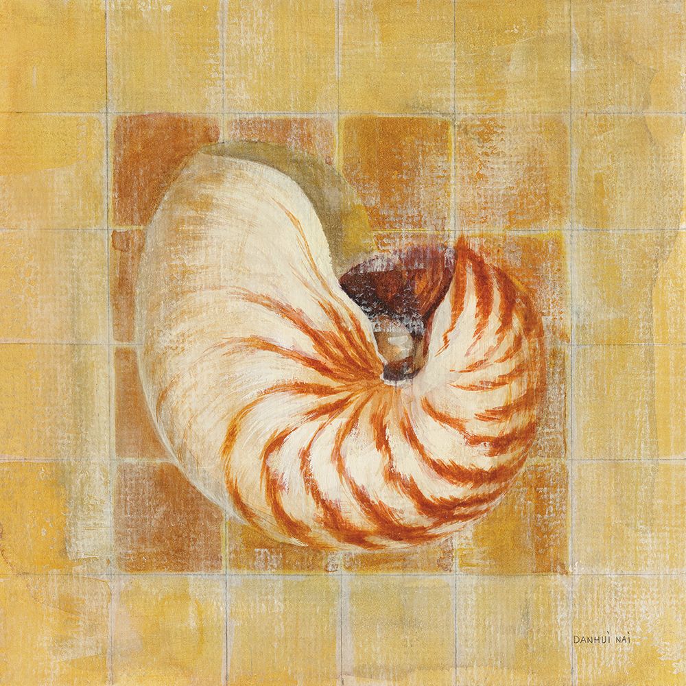 Seashell III art print by Danhui Nai for $57.95 CAD