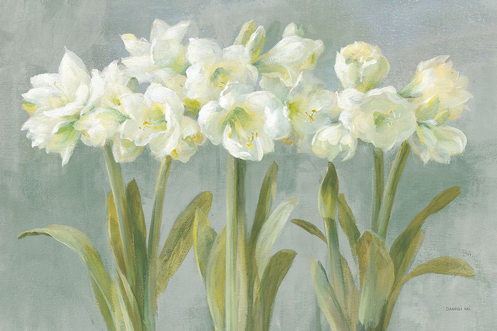 White Amaryllis art print by Danhui Nai for $57.95 CAD