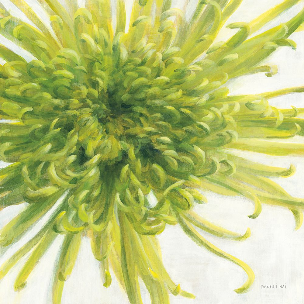 Contemporary Chrysanthemum art print by Danhui Nai for $57.95 CAD