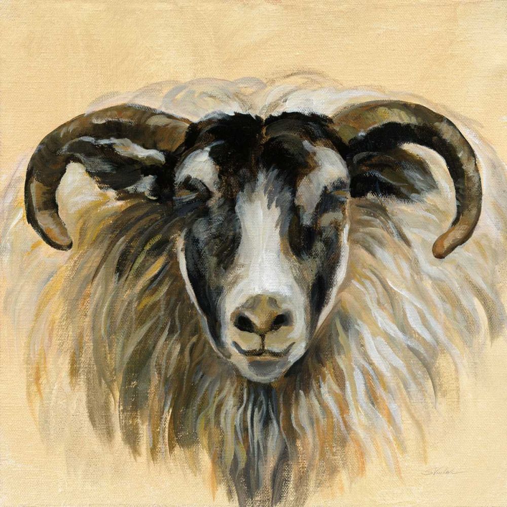 Highland Animal Ram art print by Silvia Vassileva for $57.95 CAD