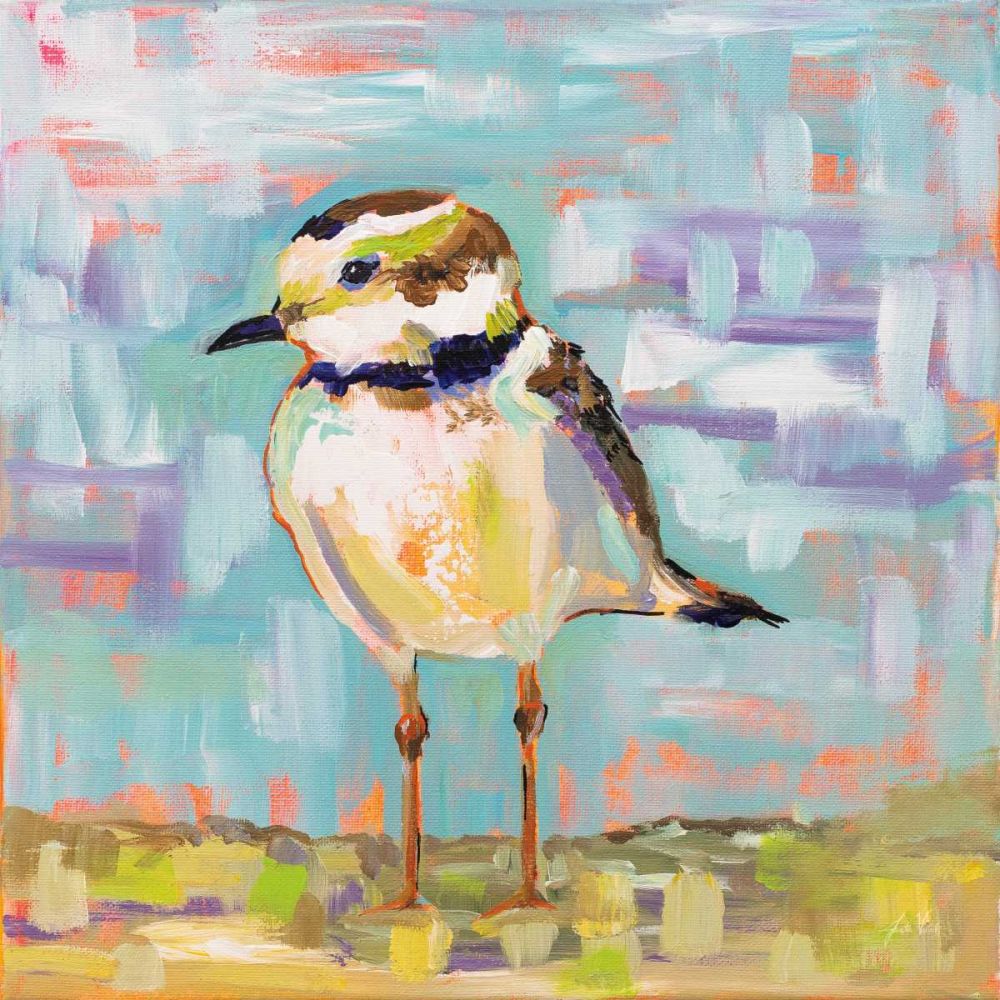 Coastal Plover II art print by Jeanette Vertentes for $57.95 CAD