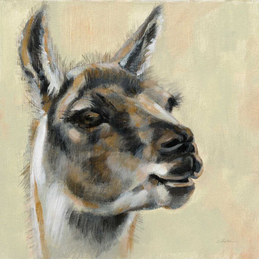 Llama Portrait art print by Silvia Vassileva for $57.95 CAD