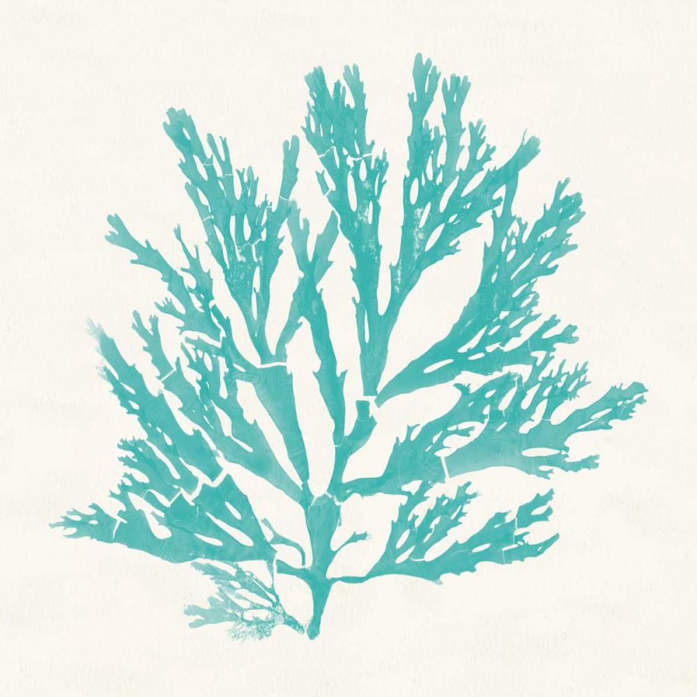 Pacific Sea Mosses I Aqua art print by Wild Apple Portfolio for $57.95 CAD