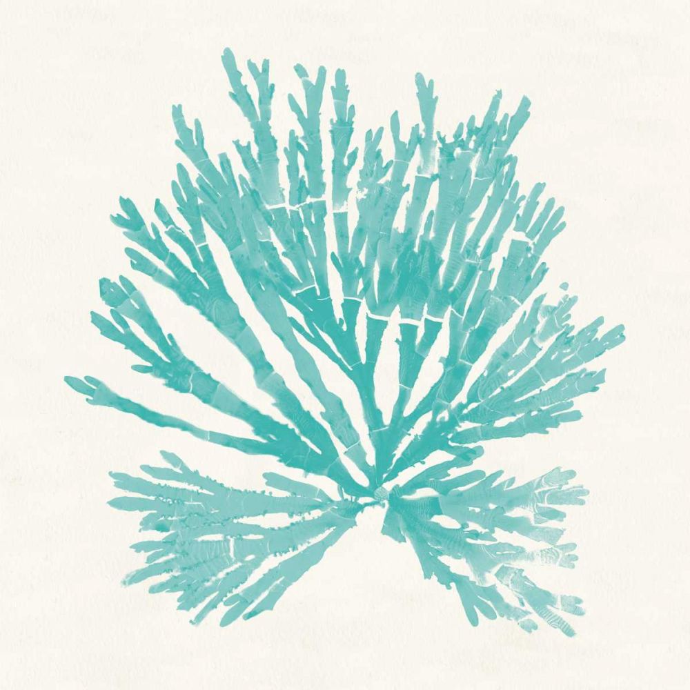 Pacific Sea Mosses II Aqua art print by Wild Apple Portfolio for $57.95 CAD