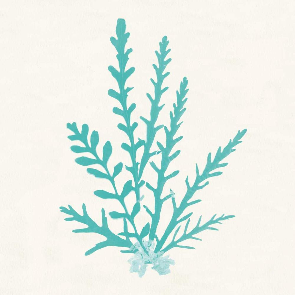 Pacific Sea Mosses III Aqua art print by Wild Apple Portfolio for $57.95 CAD