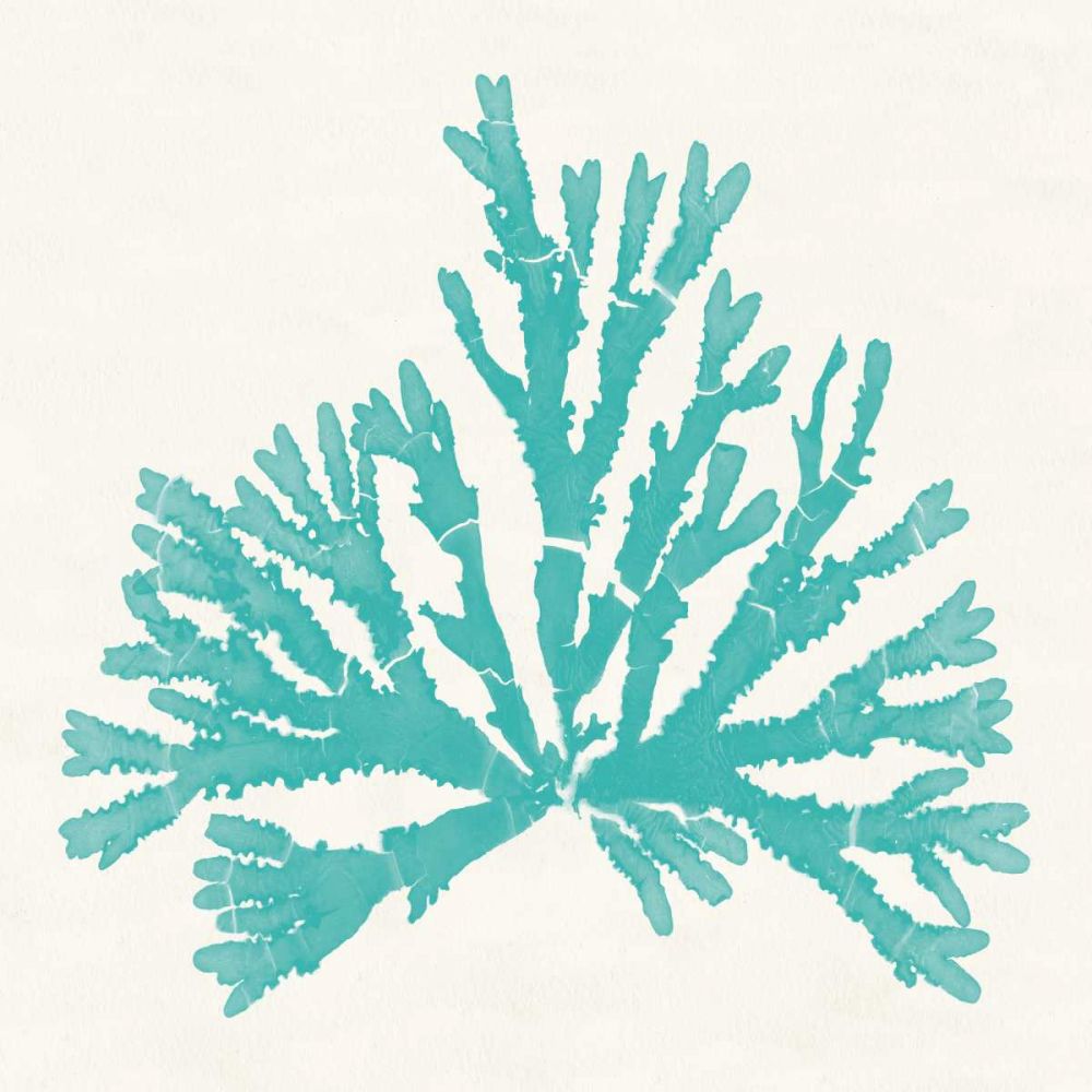 Pacific Sea Mosses IV Aqua art print by Wild Apple Portfolio for $57.95 CAD