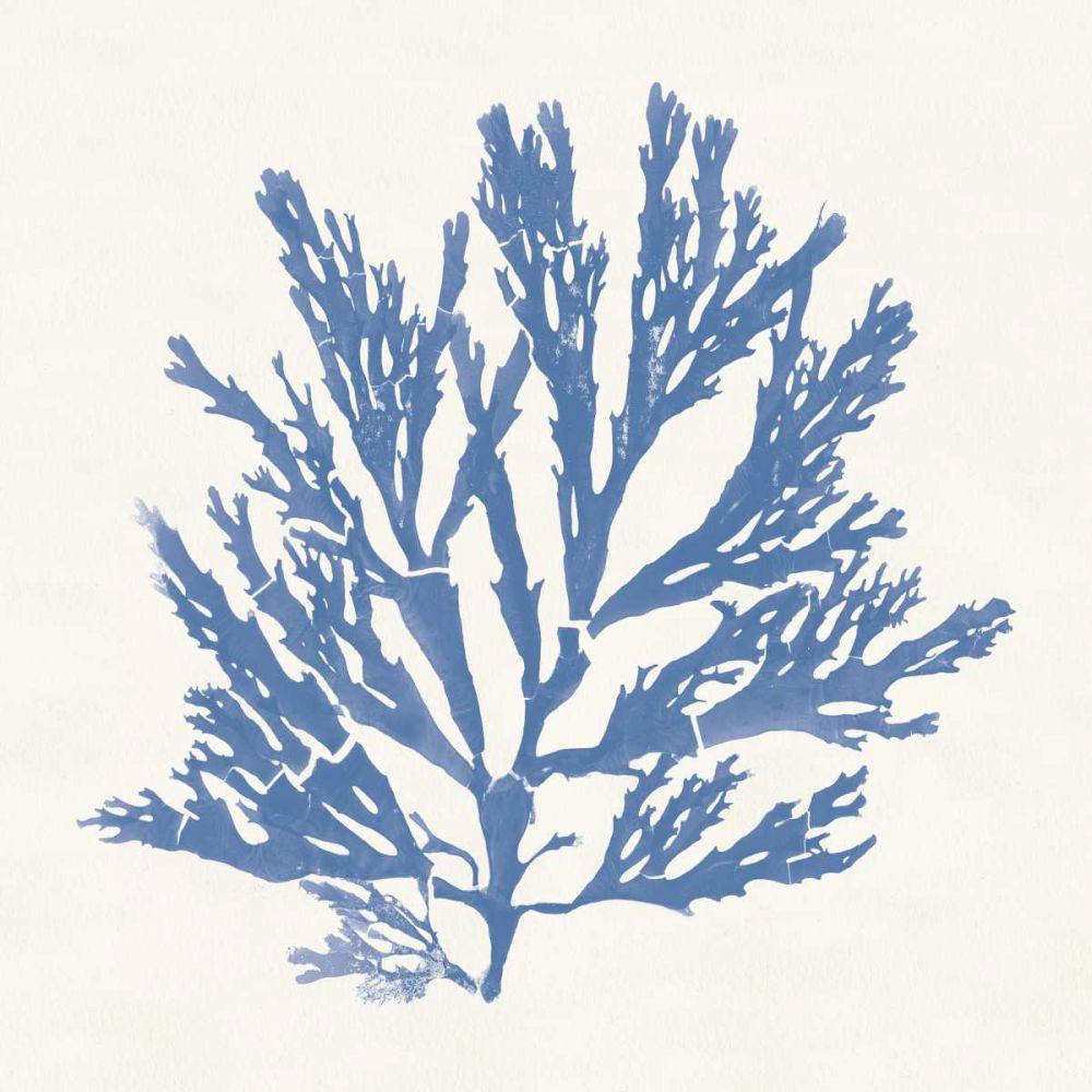 Pacific Sea Mosses I Light Blue art print by Wild Apple Portfolio for $57.95 CAD