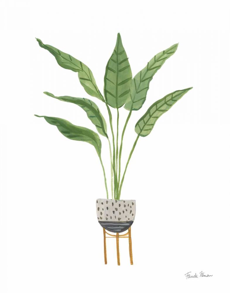 Green House Plants III art print by Farida Zaman for $57.95 CAD