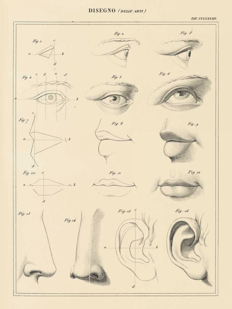 Face Chart art print by Wild Apple Portfolio for $57.95 CAD