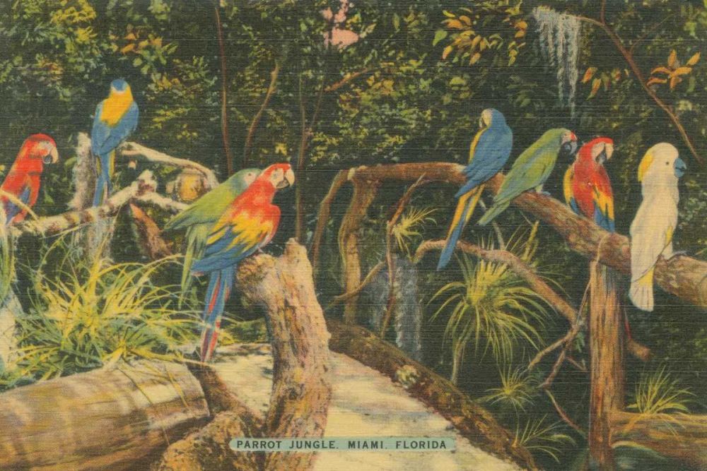 Florida Postcard II art print by Wild Apple Portfolio for $57.95 CAD