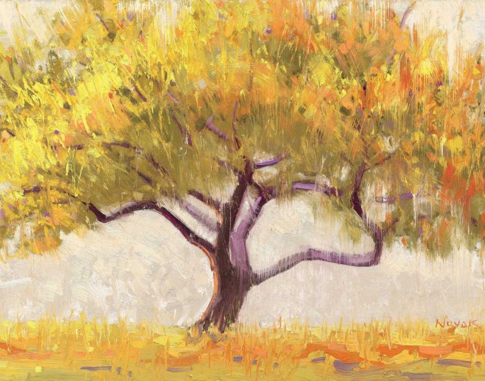 Apricot Tree art print by Shirley Novak for $57.95 CAD