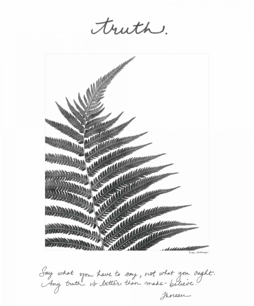 Truth art print by Debra Van Swearingen for $57.95 CAD