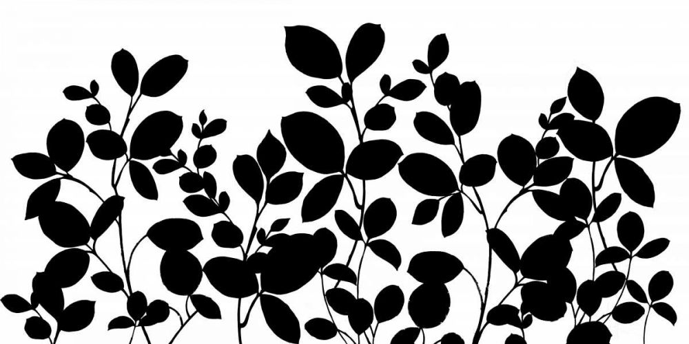 Leafy Grove art print by Wild Apple Portfolio for $57.95 CAD