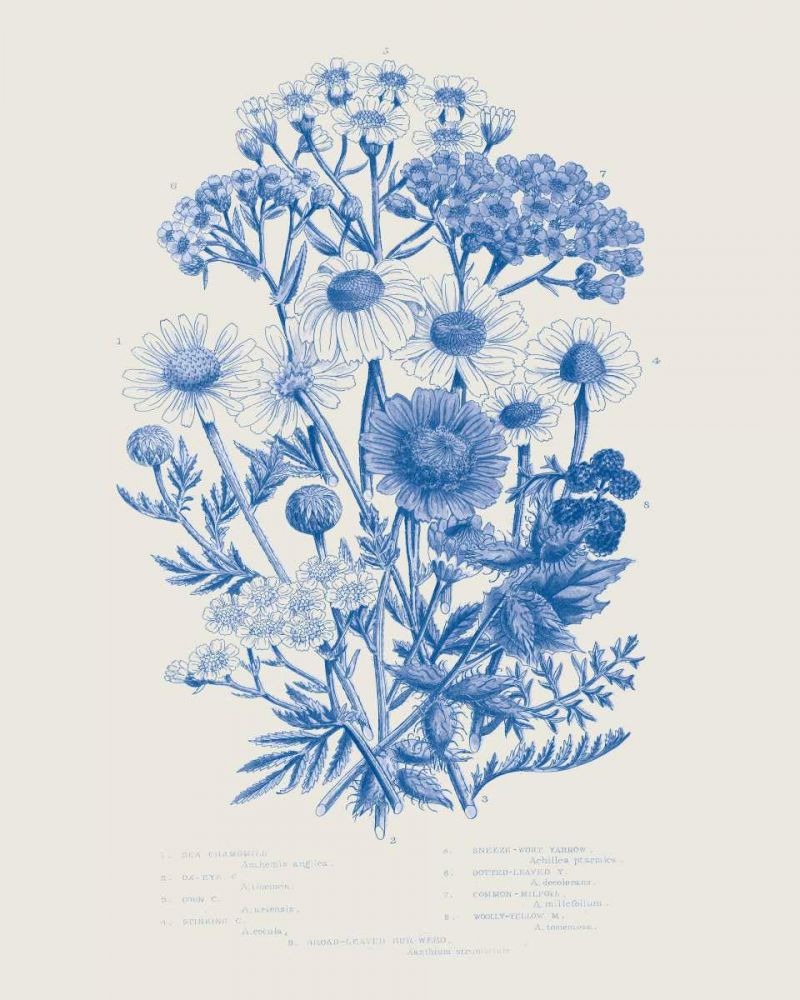 Flowering Plants V Mid Blue art print by Wild Apple Portfolio for $57.95 CAD