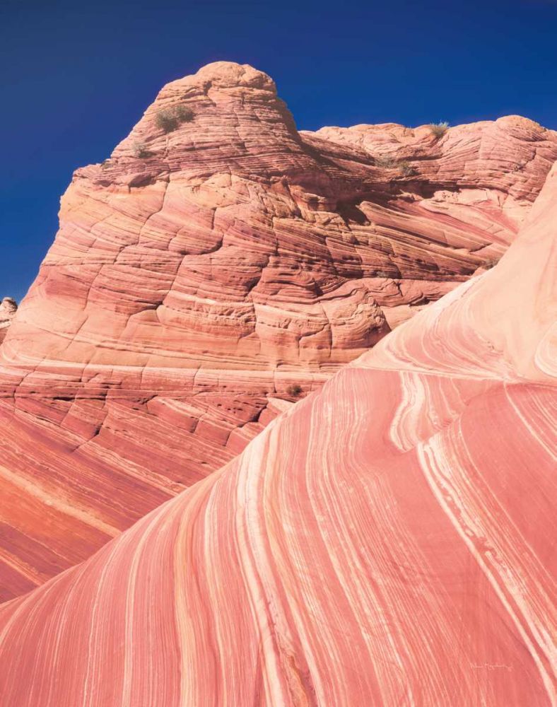 Coyote Buttes I Blush art print by Alan Majchrowicz for $57.95 CAD