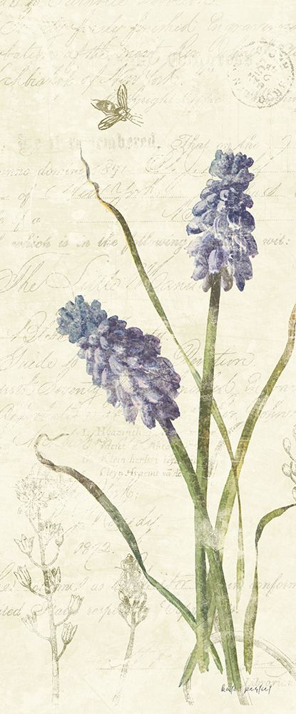 Hyacinth Panel art print by Katie Pertiet for $57.95 CAD