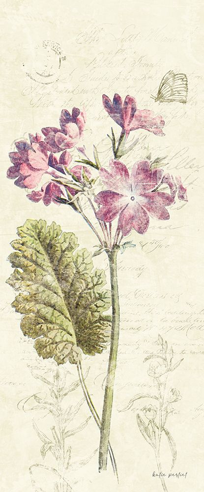 Primrose Panel art print by Katie Pertiet for $57.95 CAD