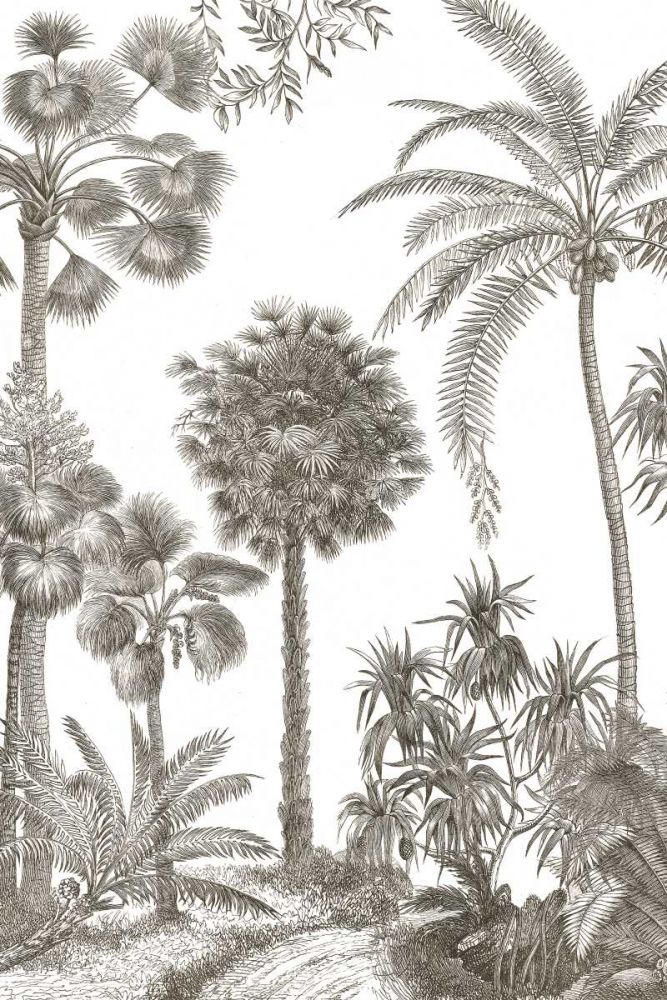 Palm Oasis I art print by Wild Apple Portfolio for $57.95 CAD