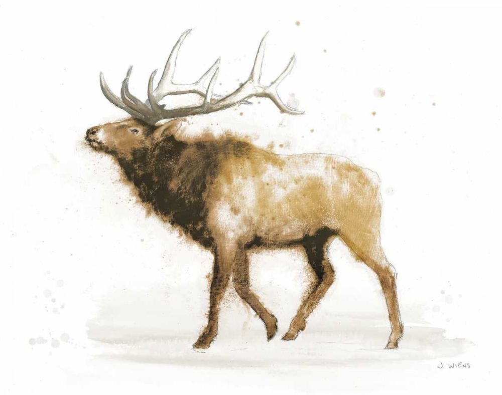 Elk v2 Warm art print by James Wiens for $57.95 CAD