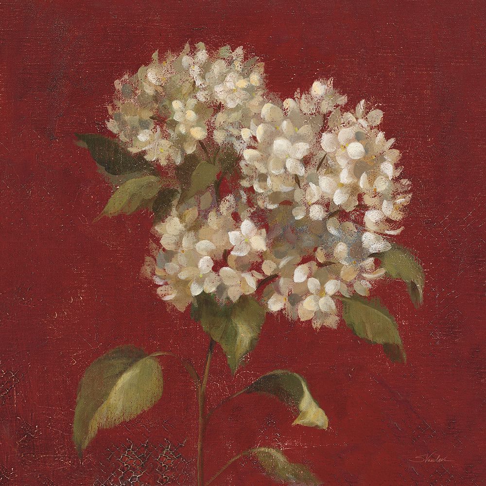 Hydrangea Blooms art print by Silvia Vassileva for $57.95 CAD