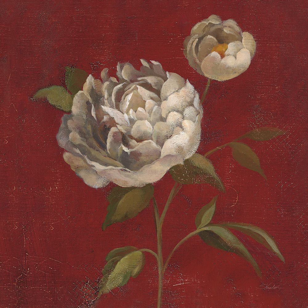 Peony Blooms art print by Silvia Vassileva for $57.95 CAD