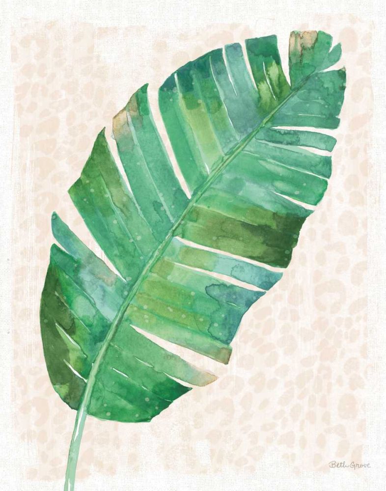 From the Jungle X No Pink Words art print by Beth Grove for $57.95 CAD