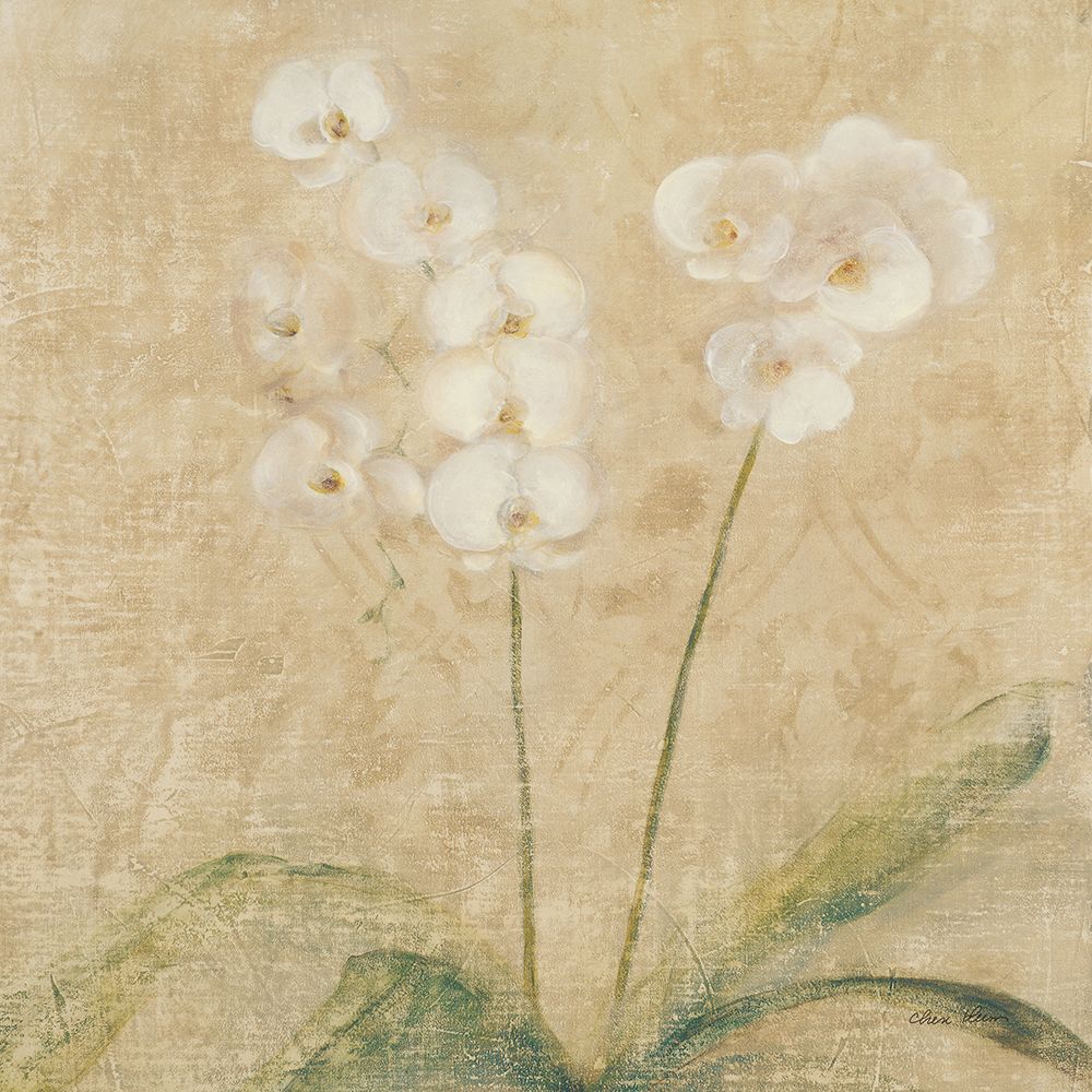 Orchid Square art print by Cheri Blum for $57.95 CAD