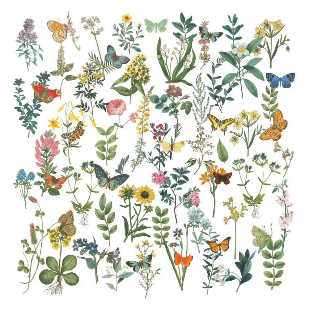 Flowers and Butterflies art print by Wild Apple Portfolio for $57.95 CAD