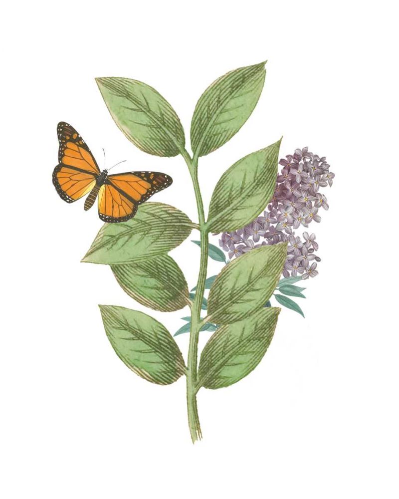 Greenery Butterflies III art print by Wild Apple Portfolio for $57.95 CAD