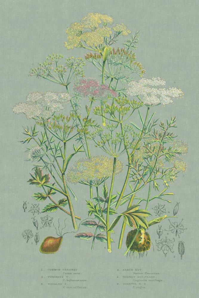 Flowering Plants II Green Linen art print by Wild Apple Portfolio for $57.95 CAD