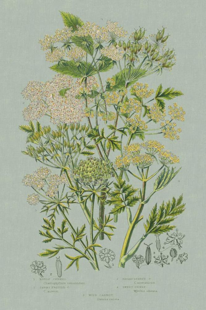 Flowering Plants III Green Linen art print by Wild Apple Portfolio for $57.95 CAD