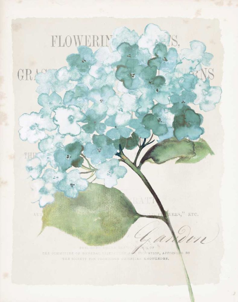 Antique Floral I Blue Vintage art print by Wild Apple Portfolio for $57.95 CAD