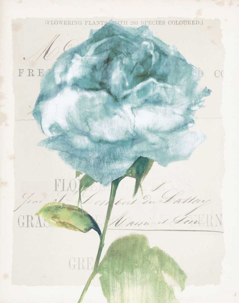 Antique Floral II Blue Vintage art print by Wild Apple Portfolio for $57.95 CAD