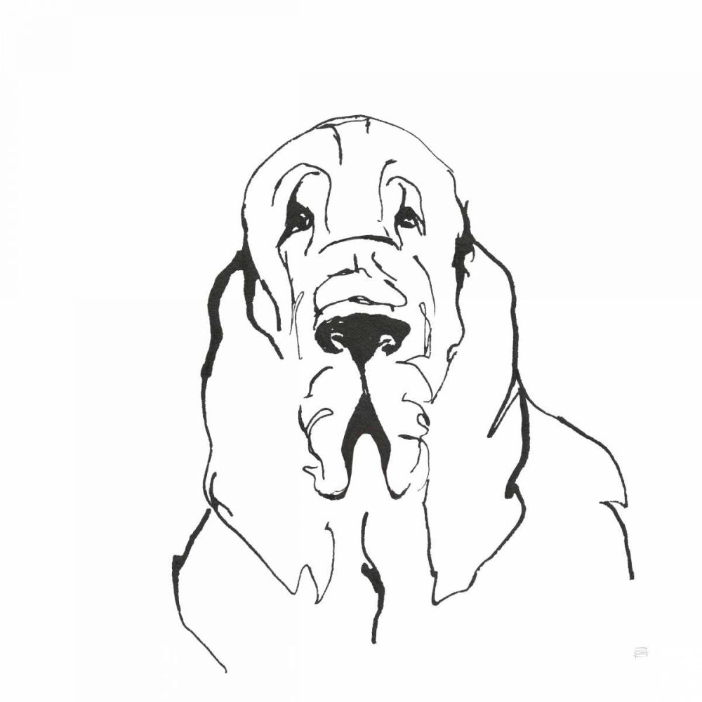 Line Dog Bloodhound II art print by Chris Paschke for $57.95 CAD