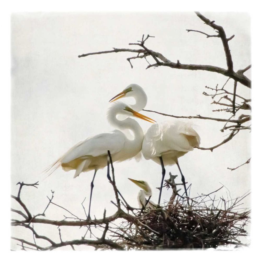 Devotion art print by Debra Van Swearingen for $57.95 CAD