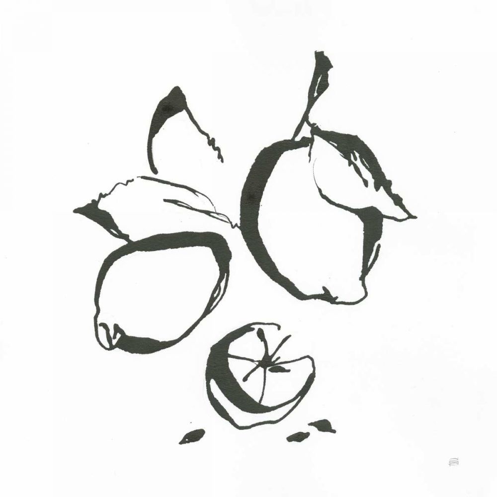 Lemons BW art print by Chris Paschke for $57.95 CAD