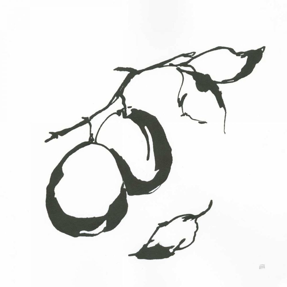 Plums I BW art print by Chris Paschke for $57.95 CAD