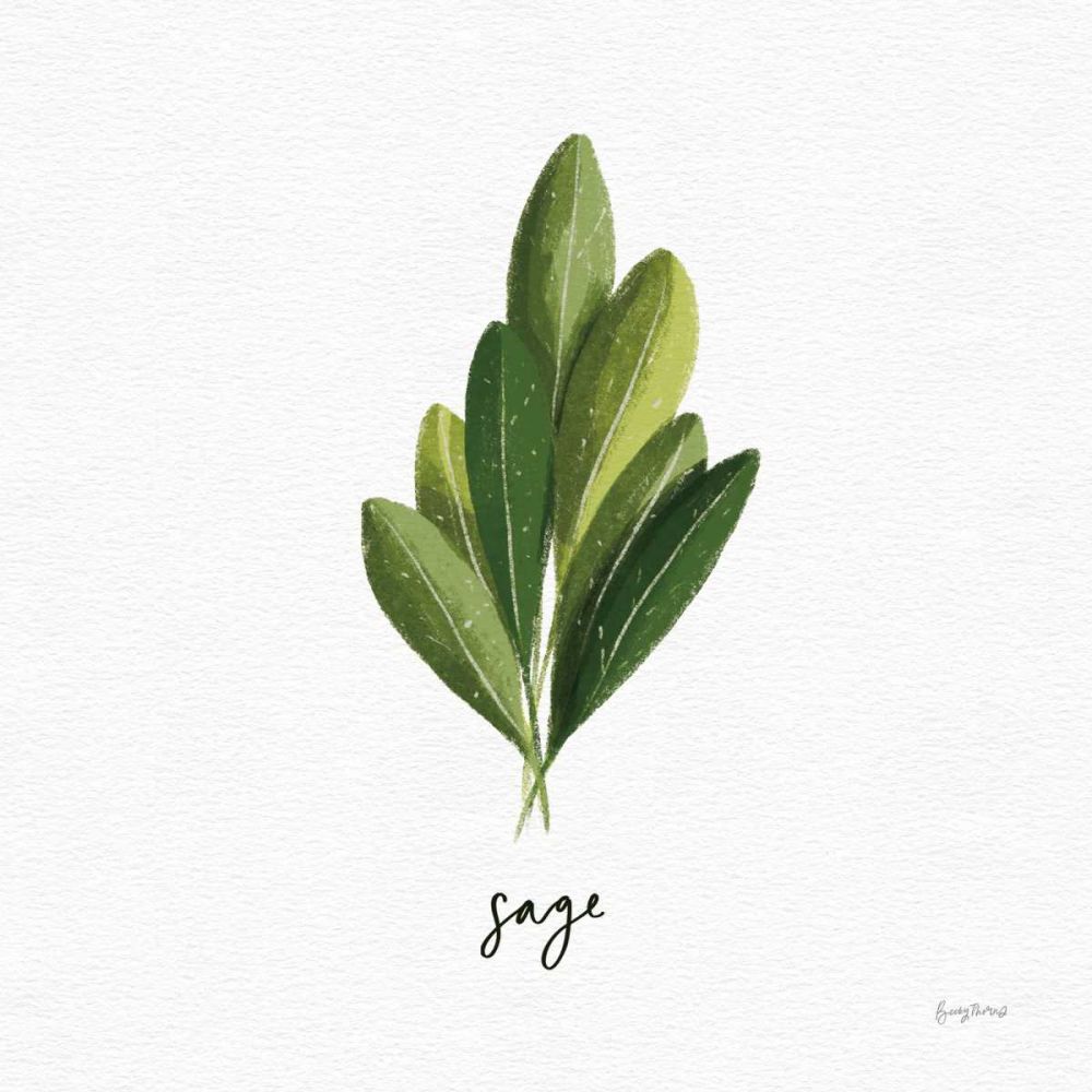 Herbs II White art print by Becky Thorns for $57.95 CAD