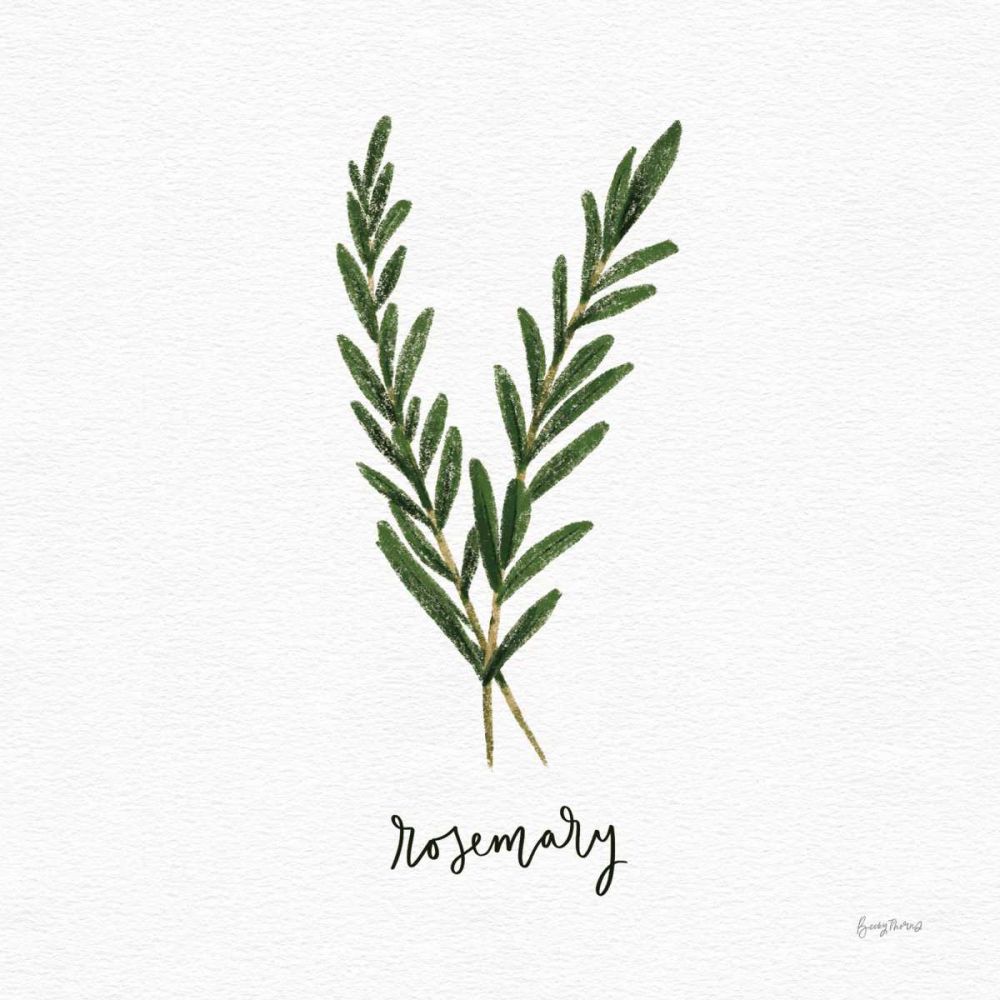 Herbs III White art print by Becky Thorns for $57.95 CAD