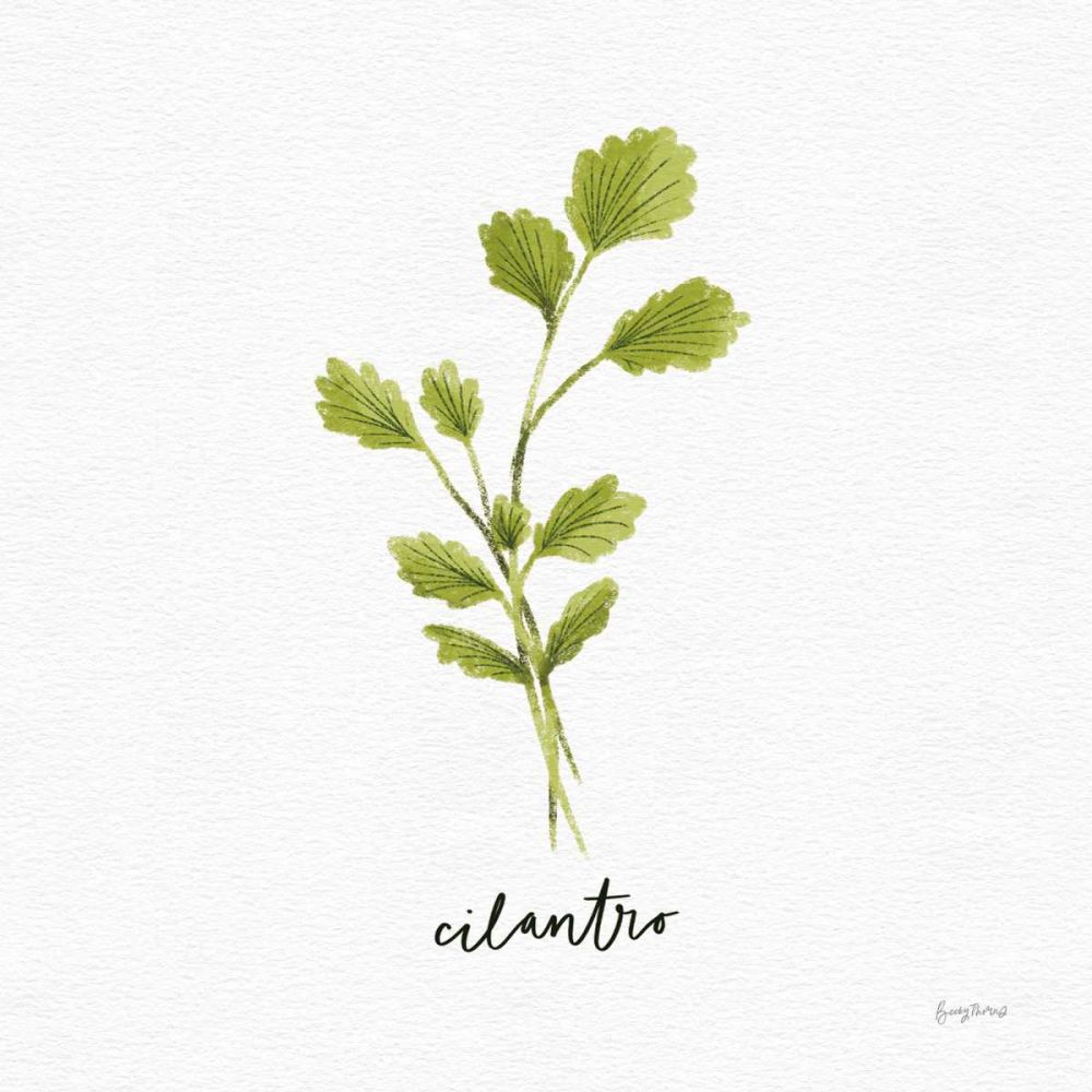 Herbs IV White art print by Becky Thorns for $57.95 CAD