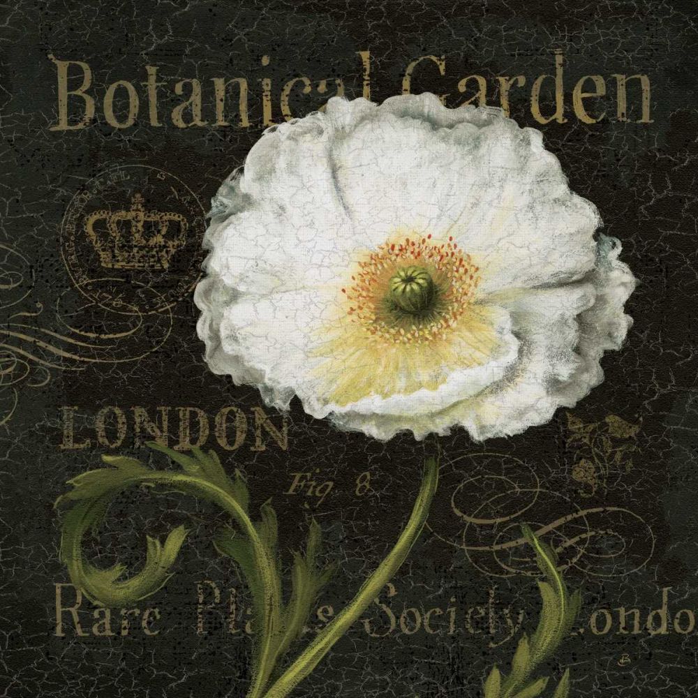 Botanical Garden II art print by Daphne Brissonnet for $57.95 CAD