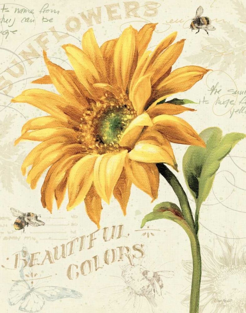 Under the Sun II art print by Lisa Audit for $57.95 CAD