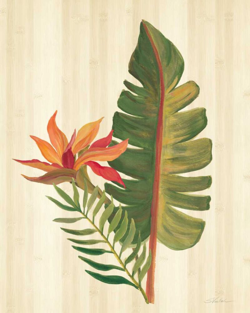 Tropical Garden VI art print by Silvia Vassileva for $57.95 CAD