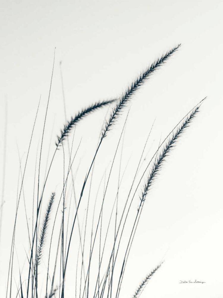 Field Grasses III art print by Debra Van Swearingen for $57.95 CAD