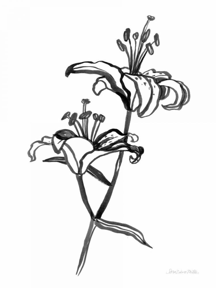 Ink Lilies I art print by Sara Zieve Miller for $57.95 CAD