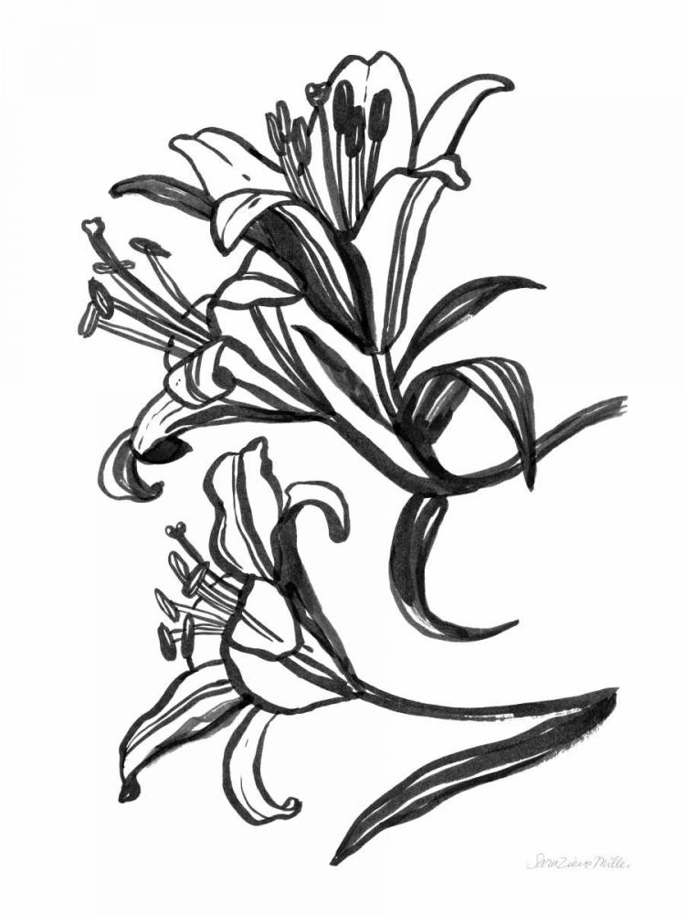 Ink Lilies II art print by Sara Zieve Miller for $57.95 CAD