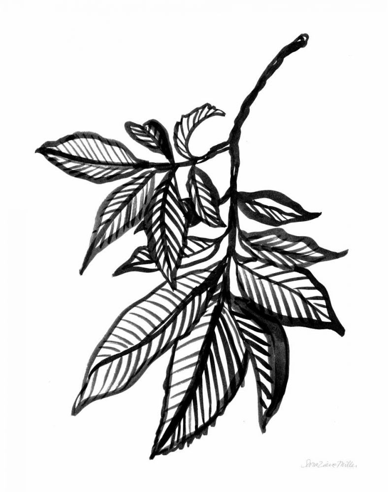 Ink Leaves art print by Sara Zieve Miller for $57.95 CAD