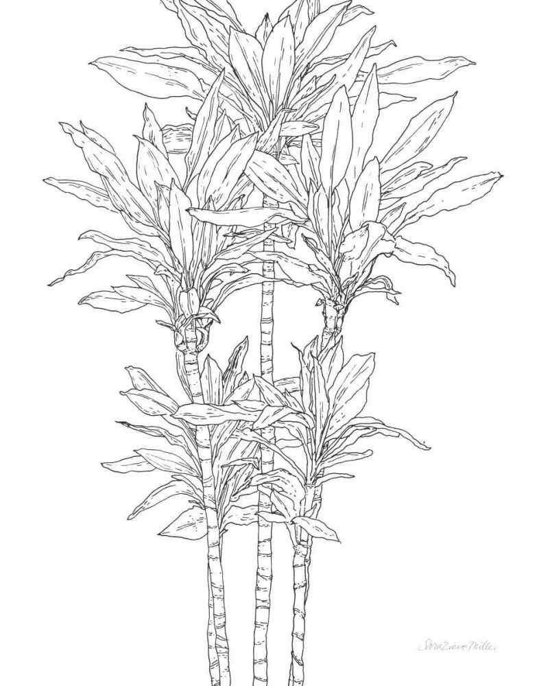 Sketched Tree II art print by Sara Zieve Miller for $57.95 CAD