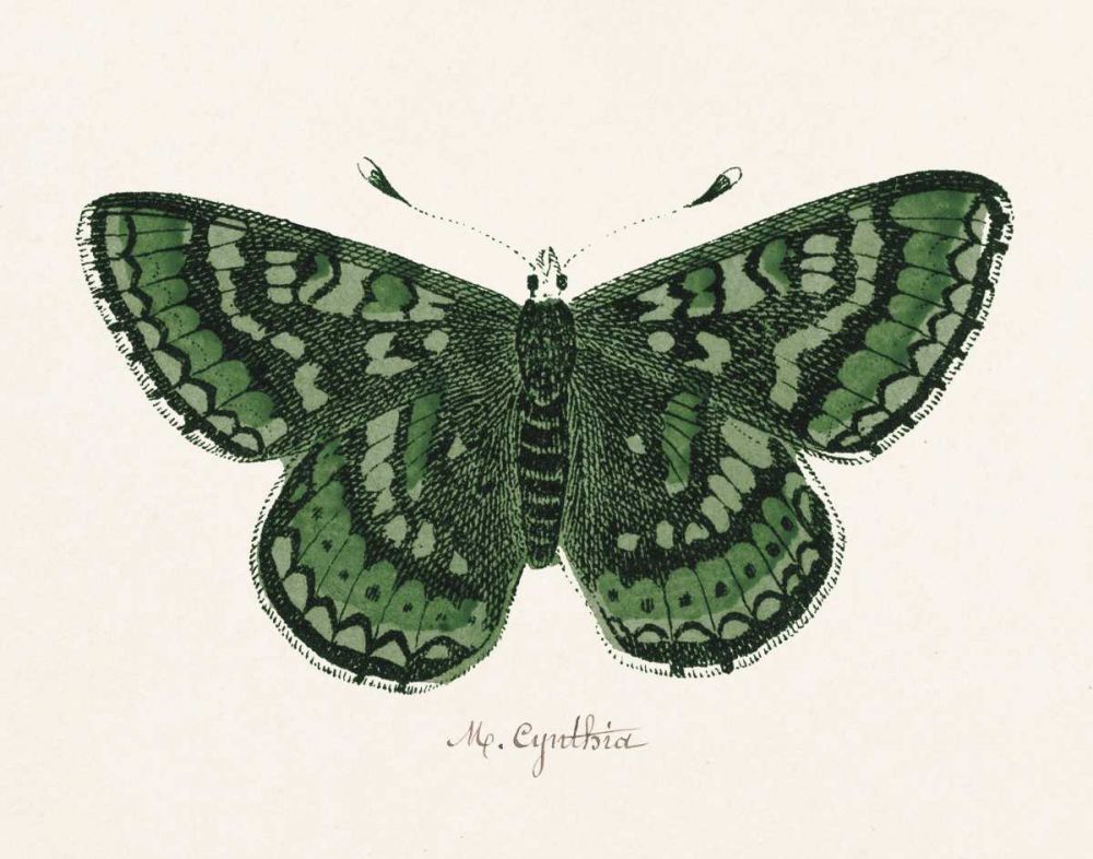 Antique Butterfly I art print by Wild Apple Portfolio for $57.95 CAD